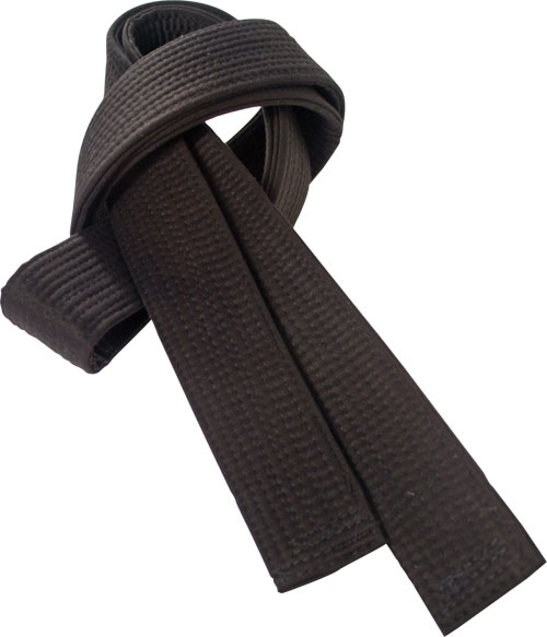 Earn your Black Belt in Ninjutsu