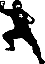 Learn Ninjutsu and the Ninja's Self-Defense Method at Warrior Concepts