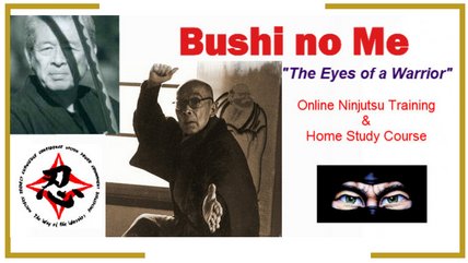 Bushi no Me 'Eyes of a Warrior' online Ninjutsu training course