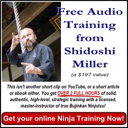 Ninjutsu master teacher: Shidoshi Jeffrey M. Miller