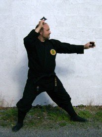 Master the Shuriken - the Ninja's Throwing star - by Shidoshi Jeffrey M. Miller