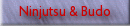Ninjutsu & Budo